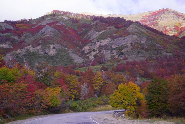 Cerro Chapelco